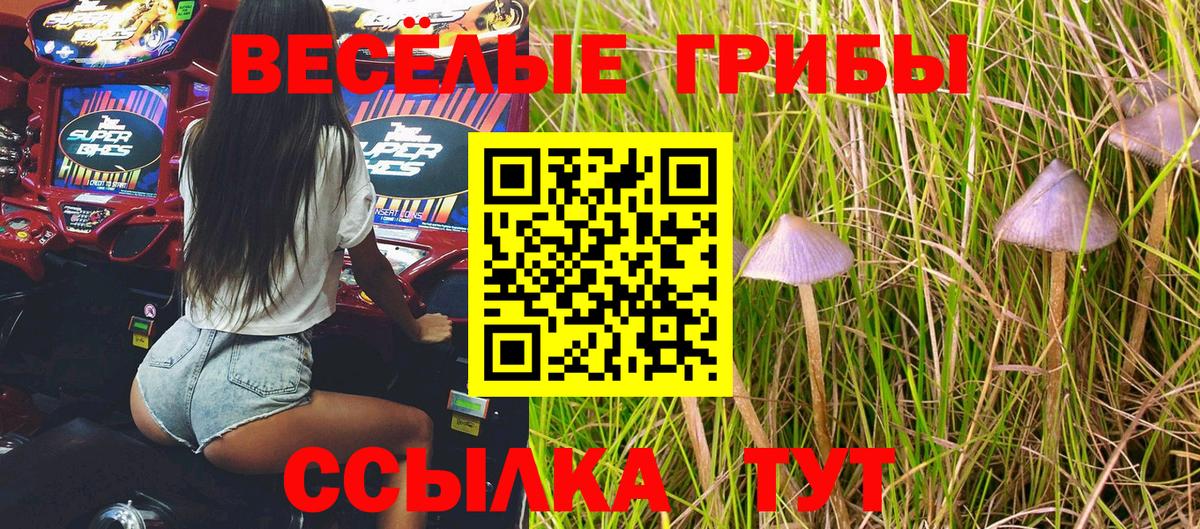 Осинники  Галлюциногенные грибы мухоморы  Вход с VPN  Псилоцибиновые грибы Psilocybine cubensis 